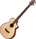Breedlove ABJ250SM 4
