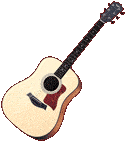 Taylor 210