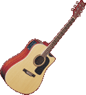 Washburn D10SCEN