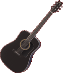 Washburn D10SB