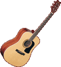 Washburn D10S  Acoustic