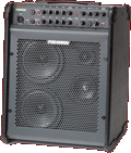 Fishman Loudbox Performer Amp