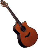 SOLD R. Taylor Rosewood Cedar Custom