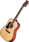 Washburn D10 Lefty!