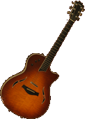 Taylor T5s Maple Honey Sunburst