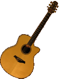SOLD R Taylor Custom Cocobolo