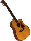 Taylor 110CE