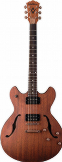 Washburn HB32DM