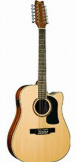 Washburn D10SCE12 w/Case