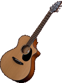 Breedlove Atlas Solo C350/CM