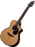 Breedlove Atlas Solo C350/CR