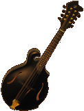 Breedlove FF BlackGold w/Schertler