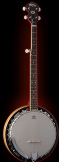 Washburn B9 Banjo