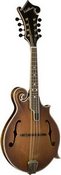 Washburn 