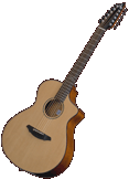 Breedlove Studio C250SM-12