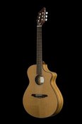 Breedlove Passport N250CO