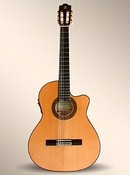 Alhambra 7P-cw w/ cutaway & elec.