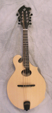 Breedlove American FO