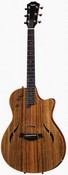Taylor T5X