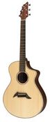 American C25 SRe Ab