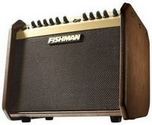 Fishman Loudbox Mini