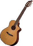 Breedlove Studio N250 CR