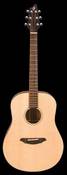 Breedlove Passport D200/SMT