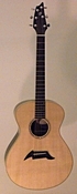Breedlove American C20/CMe