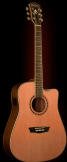 Washburn WD11SCE