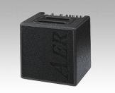 AER ALPHA 40W Combo Amp