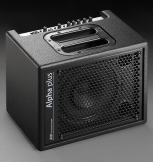 AER Alpha Plus 50W Combo Amp
