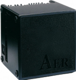 AER Basic Performer 200W Combo Amp