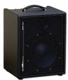 AER Amp Two 240W Combo Amp