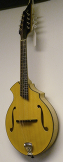 USED Breedlove Cascade