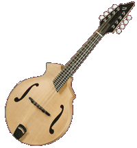 Click here to view larger image