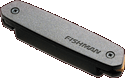 Fishman RE Neo-D