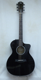 Taylor 214ce DLX Gloss Black w/ HSC