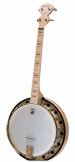 Goodtime 2 Tenor Banjo