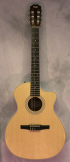 Taylor 214ce-N Nylon String w/ Gigbag