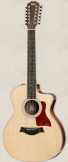 Taylor 254ce 12 string w/ gigbag