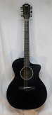 USED Taylor 214ce Dlx Blk w/ hsc