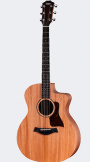 Taylor 24ce w/ gigbag