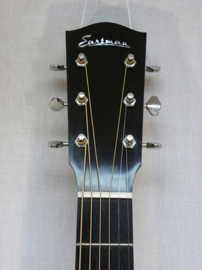 Steilberg String Instruments - Eastman E10SS/V Slope