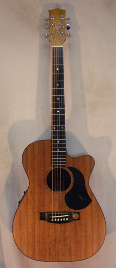 Steilberg String Instruments - Maton EBW808c Australian Blackwood w/ HSC