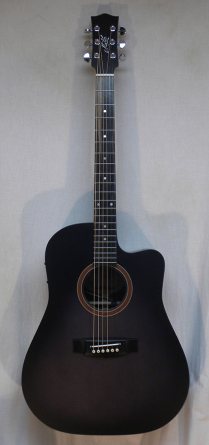 Steilberg String Instruments - Maton SRS70C-GB Ghost Black w/ HSC