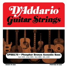 D'Addario ECB80 Acoustic Bass Guitar Stgs 40-95
