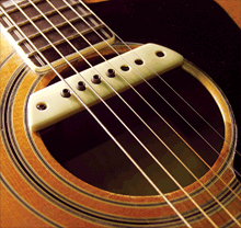 LR Baggs M1 Soundhole Pickup