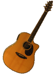 Breedlove Stage Dreadnaught w/ Deluxe Gigbag