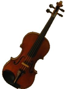Stefan Petrov Superioir Violin Outfit