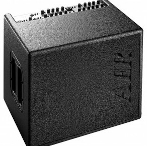 AER Domino 2 100W Combo Amp